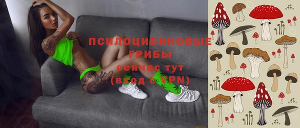 первитин Алексин
