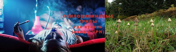 ALPHA PVP Алексеевка