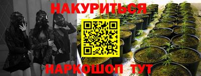 молекула духа Заволжье