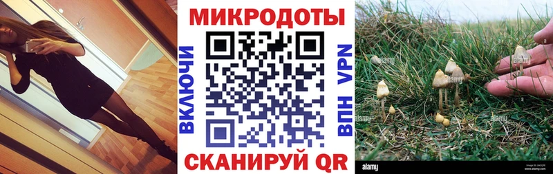 Галлюциногенные грибы мухоморы Ступино